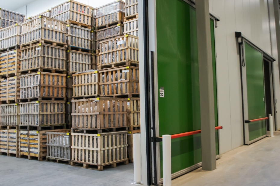 Het koelhuis van BCT Treehub Cold Store