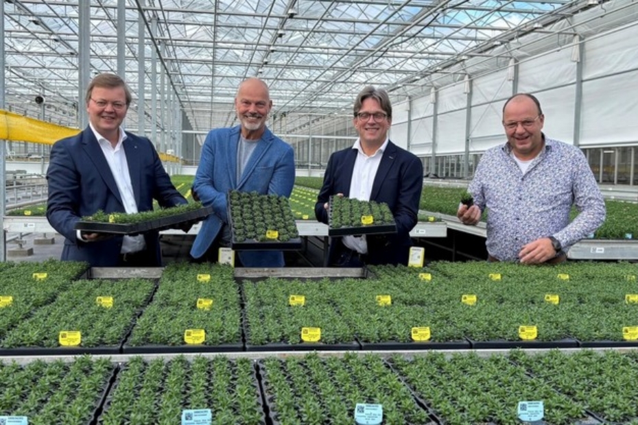 V.l.n.r.: Jacob Schneider, Jan den Hertog, Bernd Postma, Jan Arends. Foto: Schneider Youngplants
