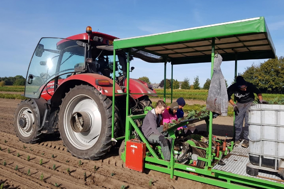 Arbeidsmigranten zijn onmisbaar in de boomkwekerijsector