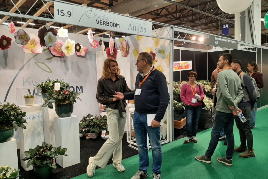 Kwekerij Verboom op Trade Fair Aalsmeer