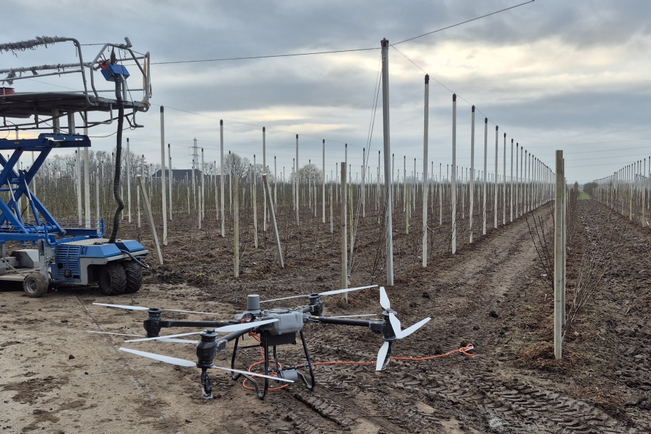 Inzet van drones bij fruitnetten