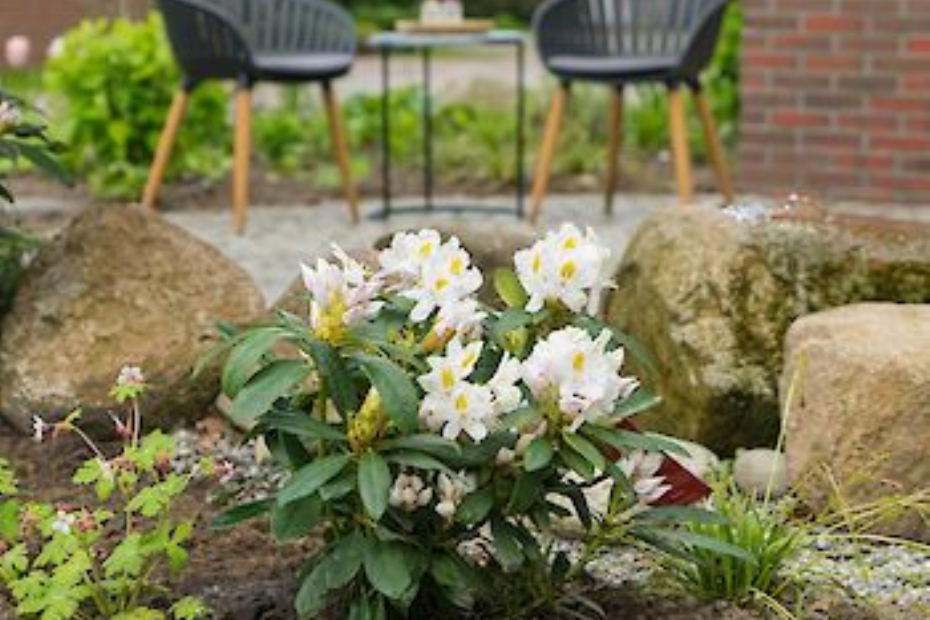 Easydendron. Foto: Inkarho®