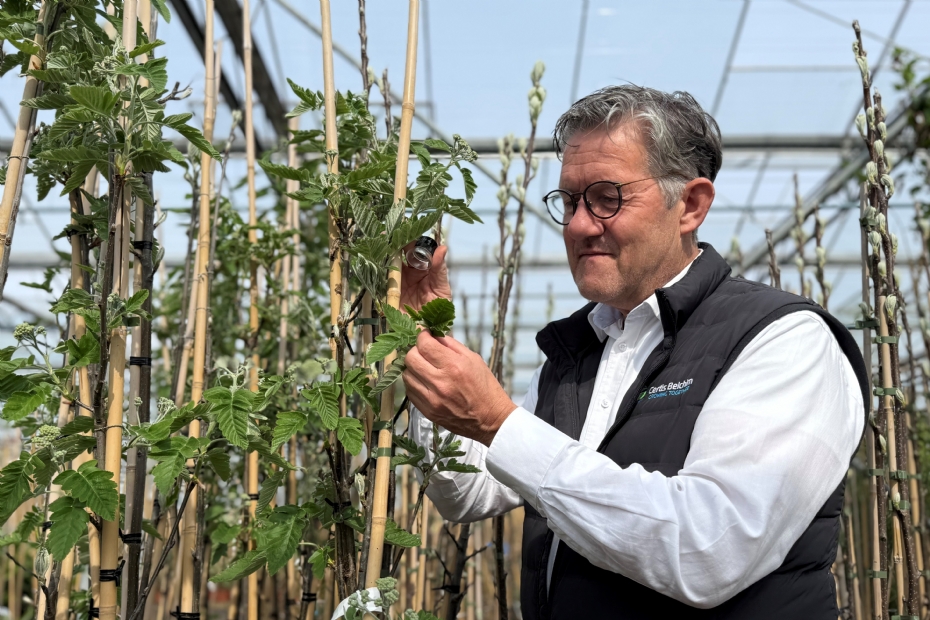 Gerard Kievit, Technical Account Manager bij Certis Belchim, scout luizen