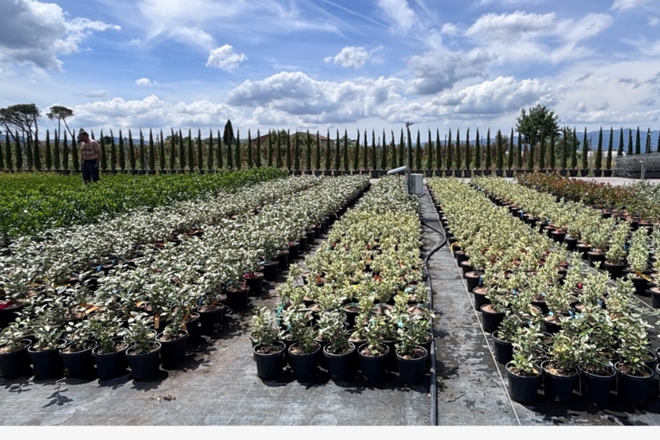 Proeflocatie in Itali�