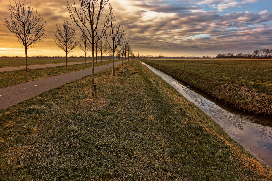 Beeld: Pixabay